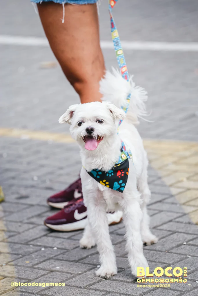 IMG 9967 - Bloco dos Gêmeos 2025